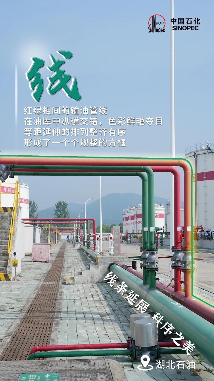 0880806010b1ec9da901.jpg